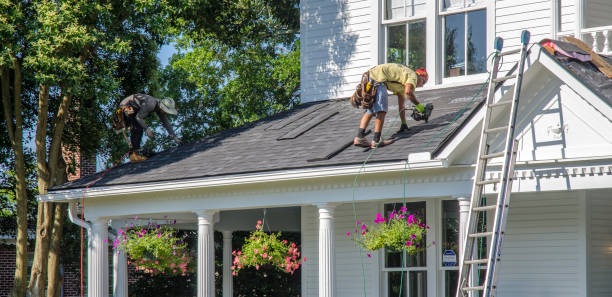 Best Roof Gutter Cleaning  in Lliams Bay, WI